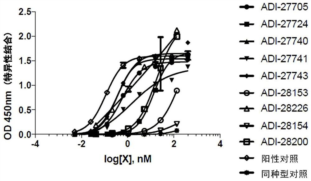 Proteins binding NKG2D, CD16 and a tumor-associated antigen