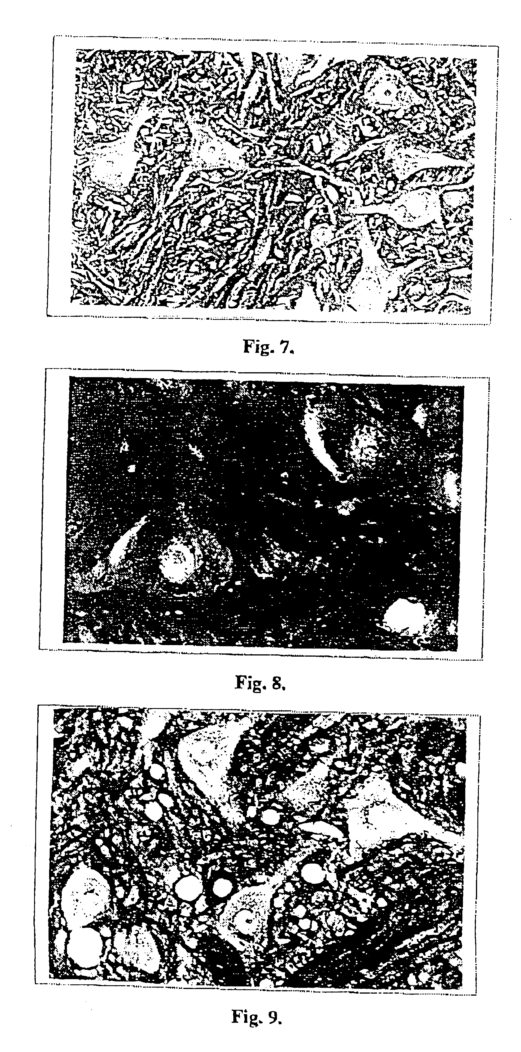 Anti-stress, anti-impairment and anti-aging drug and process for manufacturing thereof