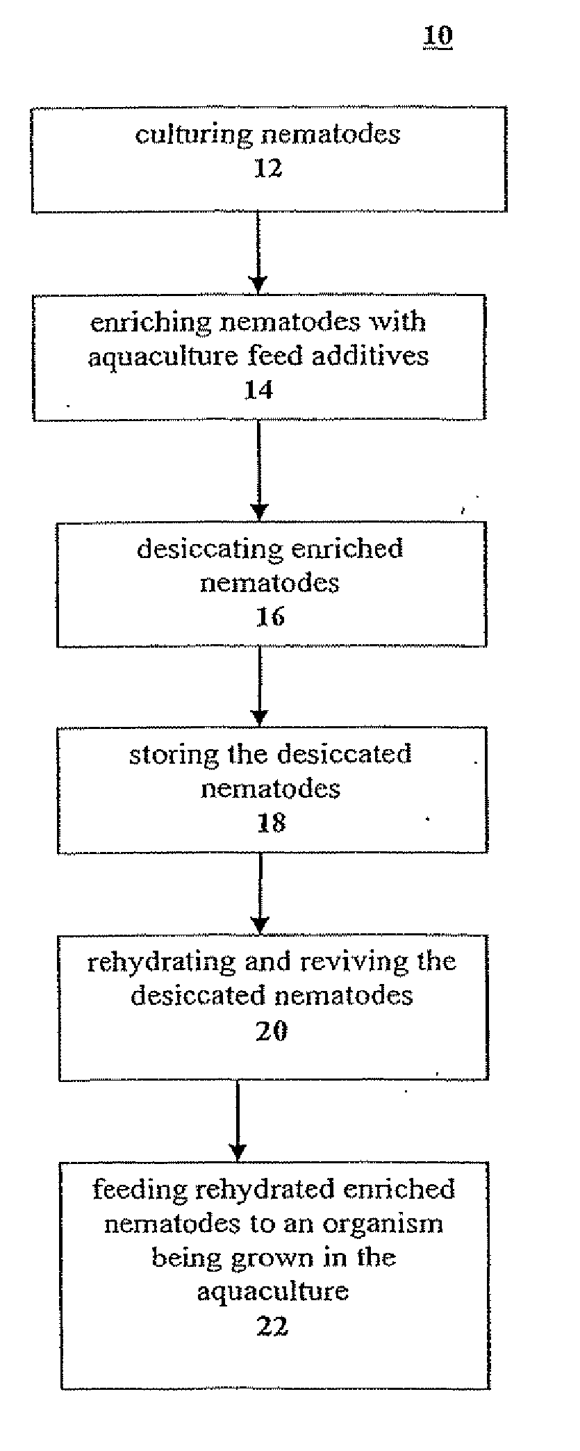 Process for storing enriched nematodes