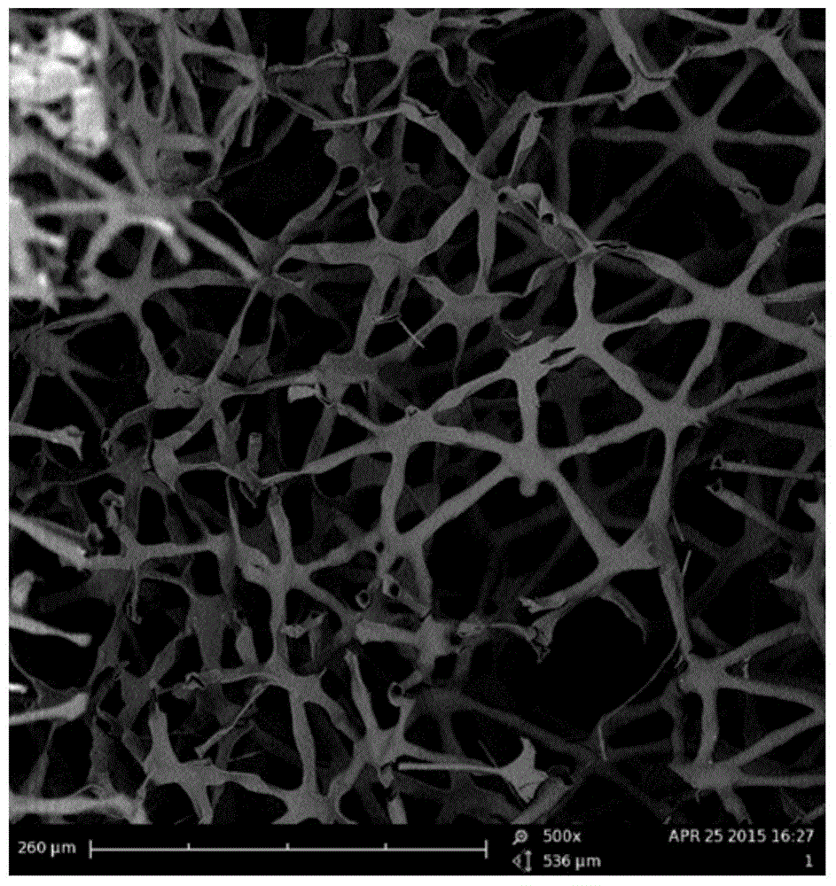 Application of juncus roemerianus in oil-water separation process