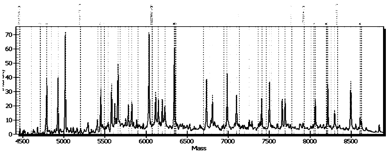 Method for distinguishing individualized medication of ramiprilat by mass spectrometry through detection products