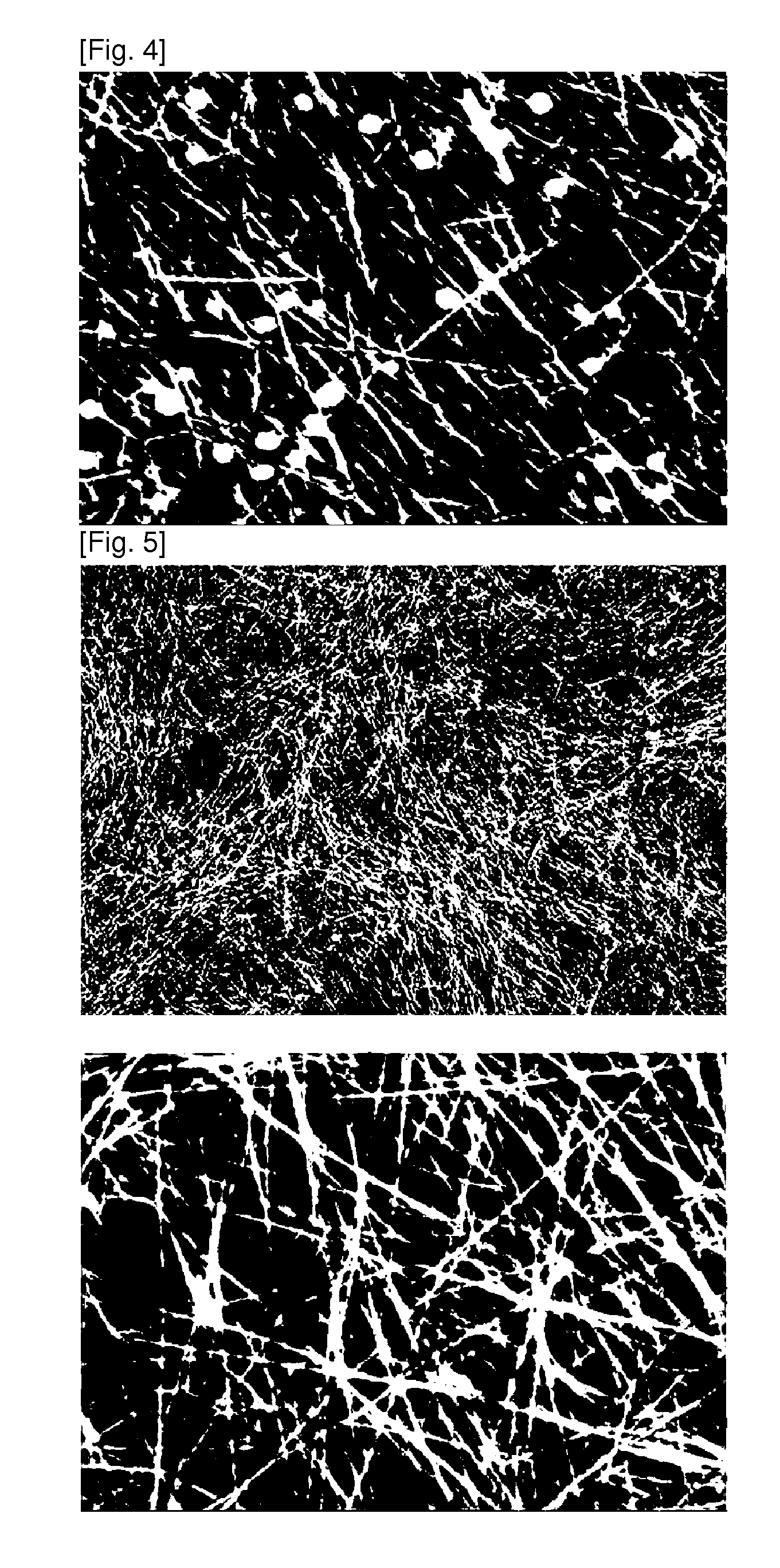 NANO wire and method for manufacturing the same