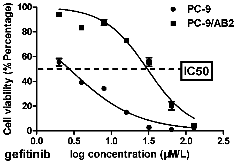 Application of EZH2 inhibitor in preparation of drugs for treatment of non-small cell lung cancer