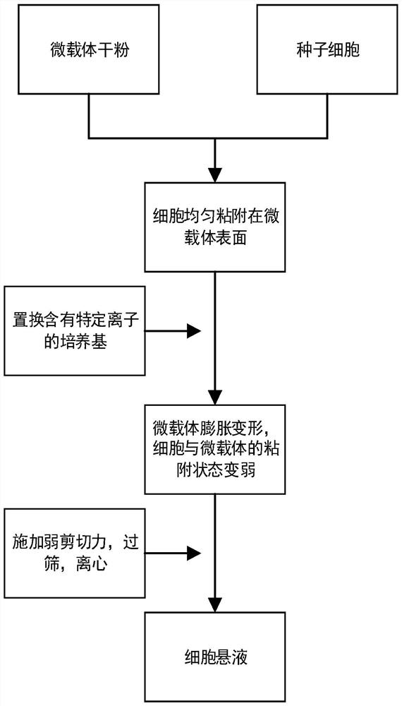 Large-scale cell culture method and used microcarrier