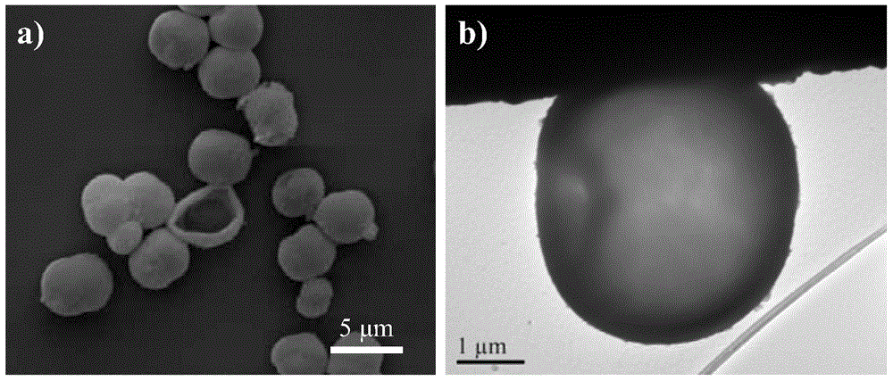 Preparation method of polymer micro-capsules inspired by polyphenols chemistry