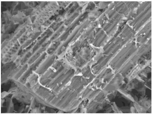 Method for removing hexavalent chromium in wastewater by sodium humate/biochar magnetic composite material