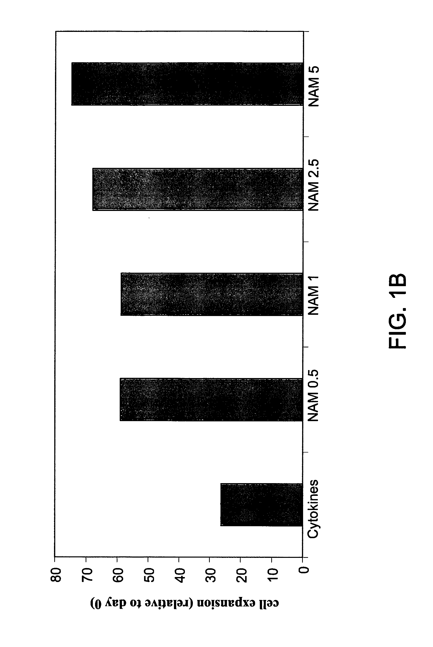 Methods for Enhancing Natural Killer Cell Proliferation and Activity