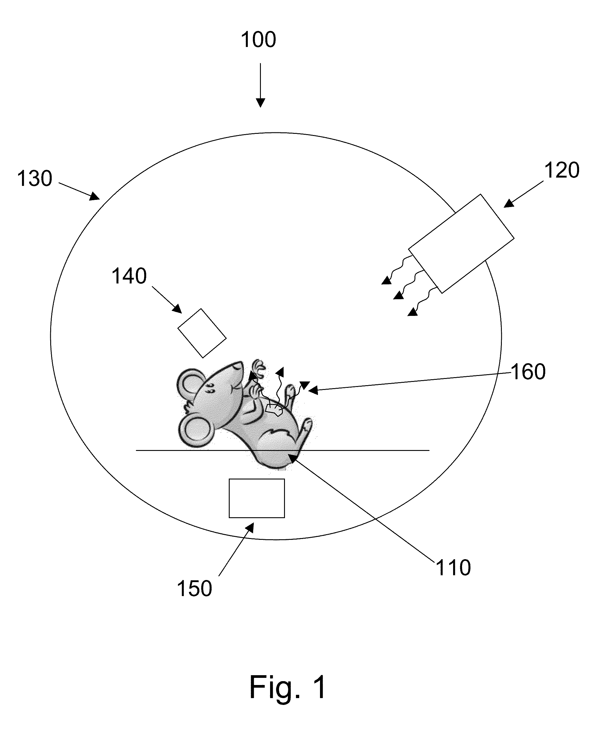 System and method for MRI imaging using polarized light