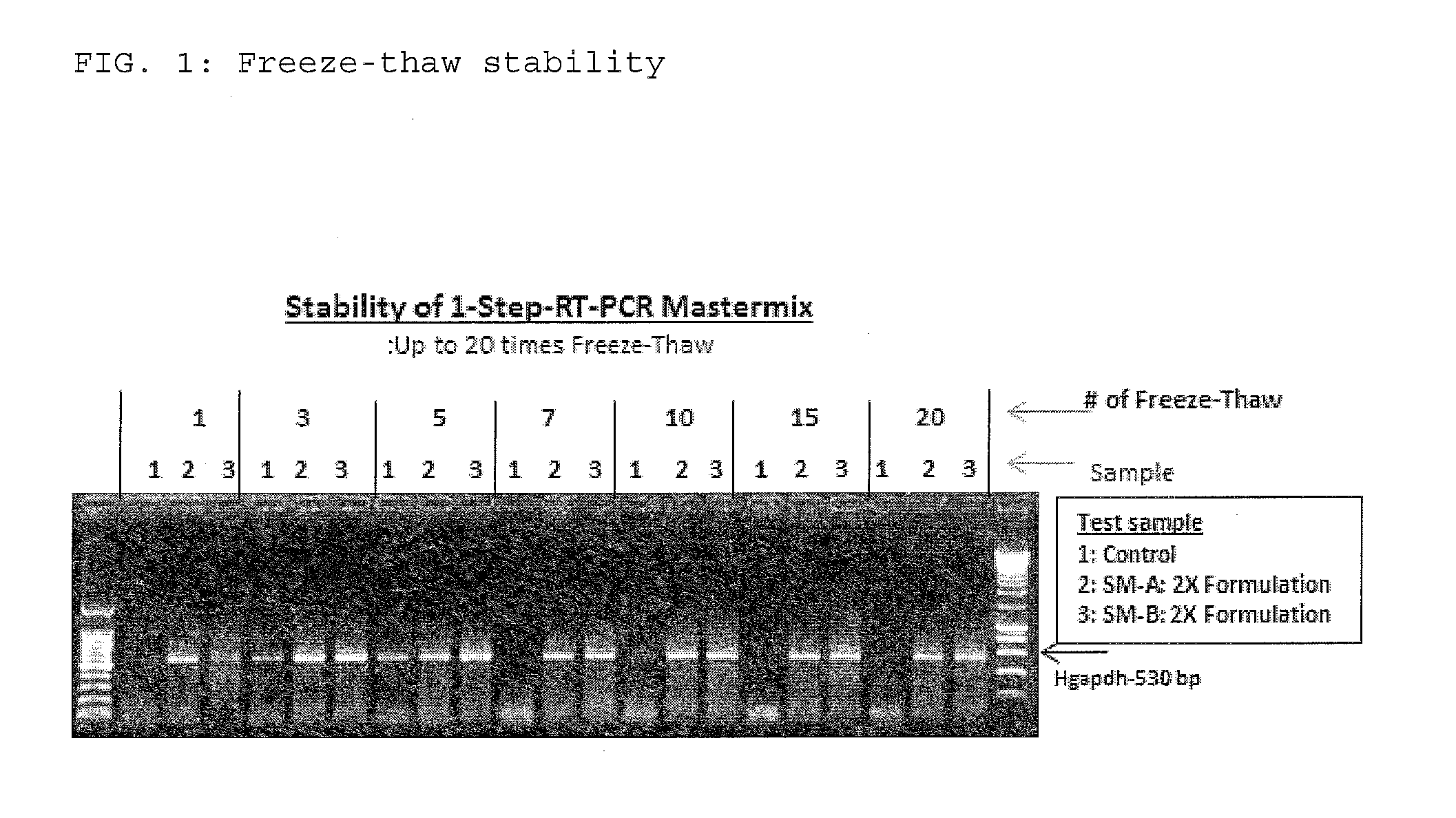Compositions and methods for RT-PCR