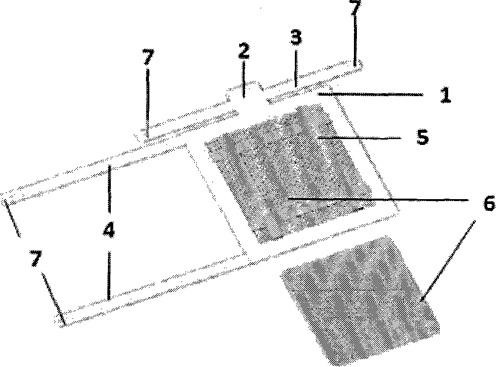 Local drug application (toxicant exposure) fixing strap used for domestic rabbit