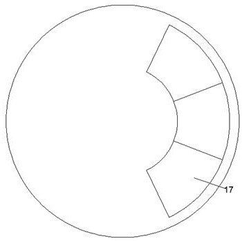 Automatic anus swab sampling device