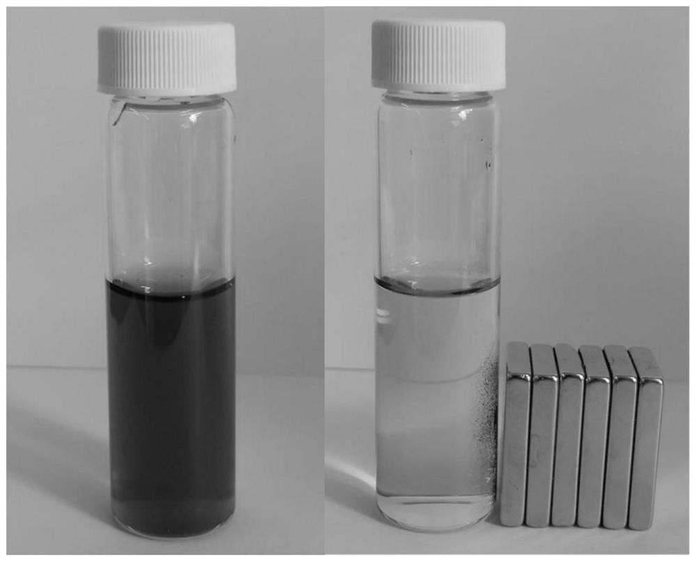 A kind of transition metal nano-oxidase, preparation method, water treatment device and application