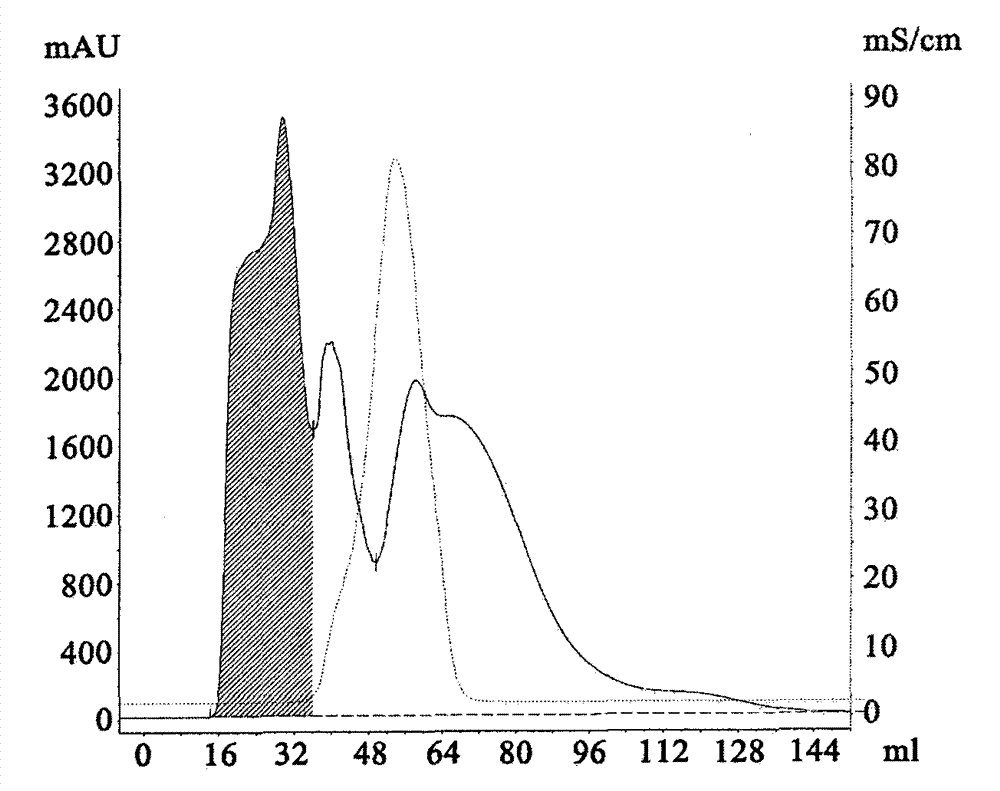 Method for separating and purifying curcin from seeds of jatropha curcas
