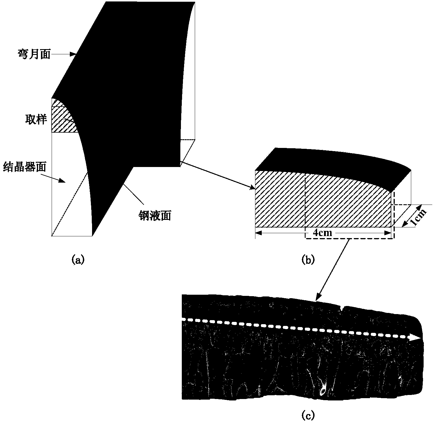 Prediction system and method for thickness of initially solidified shell in continuous steel casting crystallizer