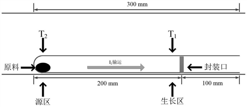 A two-dimensional semiconductor material snse  <sub>2</sub> Single crystal preparation method