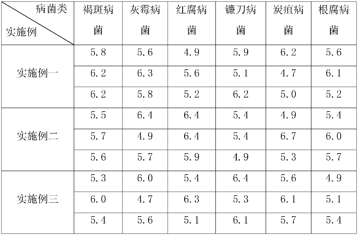 Sand bed seedling culture method for Artocarpus nanchuanensis S. S.