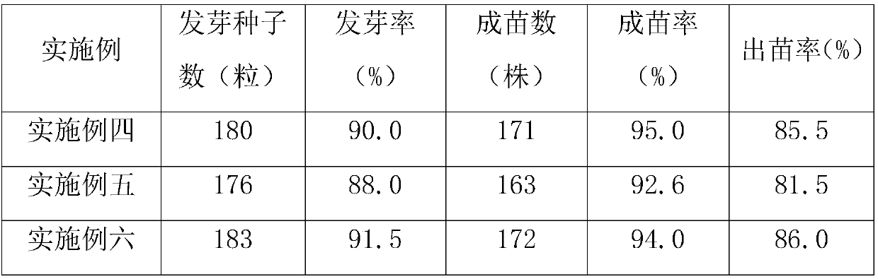 Sand bed seedling culture method for Artocarpus nanchuanensis S. S.