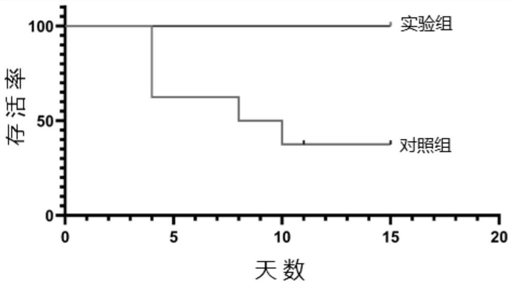 Application of compound in prevention and/or treatment of pathogen infection of animals