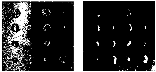 A non-destructive testing method for container inner wall bonding quality based on shear speckle interference