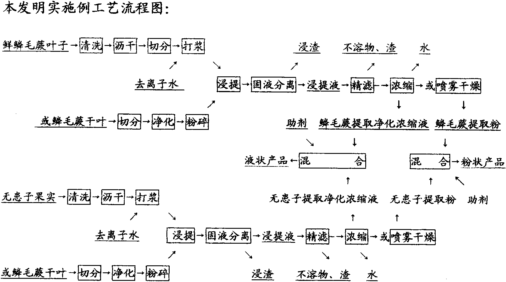 Dryopteris erythrosora/soapberry natural biomass detergent and preparation method thereof