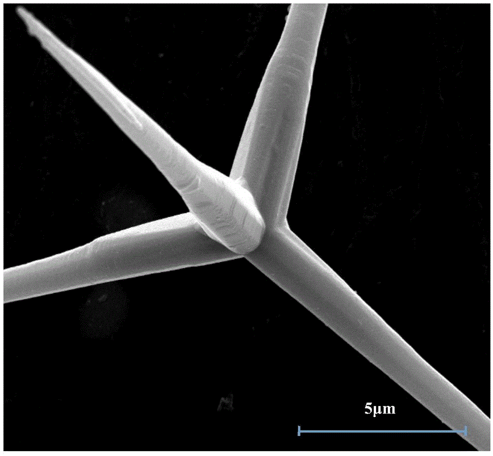 Carbon nanotube/tetrapod-shaped zinc oxide whisker composite antibacterial material and preparation method thereof