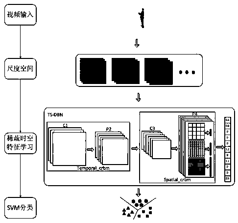 A Behavior Recognition Method Based on Sparse Spatiotemporal Features