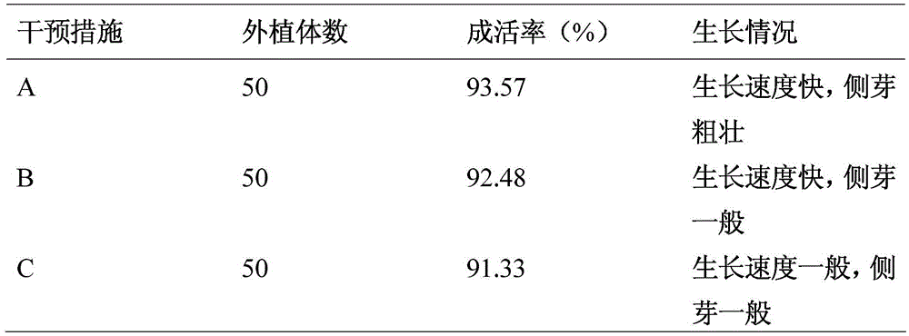 A kind of rapid propagation method of longan