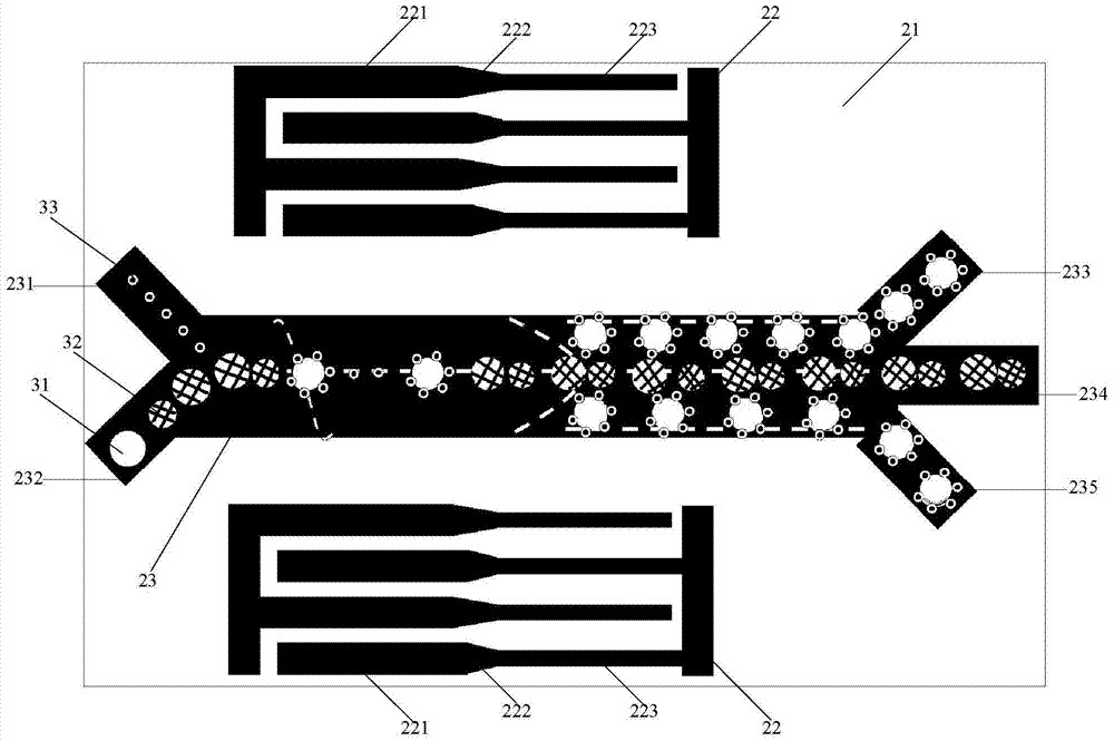 Microfluidic chip and cell screening method for screening specific cells