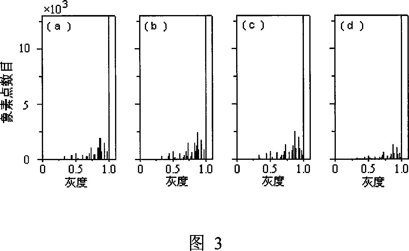 Method and device for identifying different variety green tea based on multiple spectrum image texture analysis