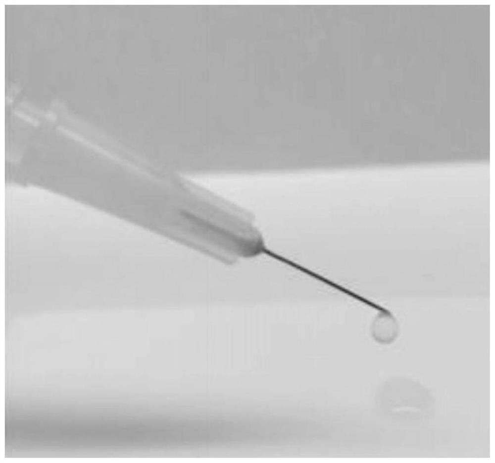 Soft tissue filling hydrogel for medical cosmetology and preparation method of soft tissue filling hydrogel