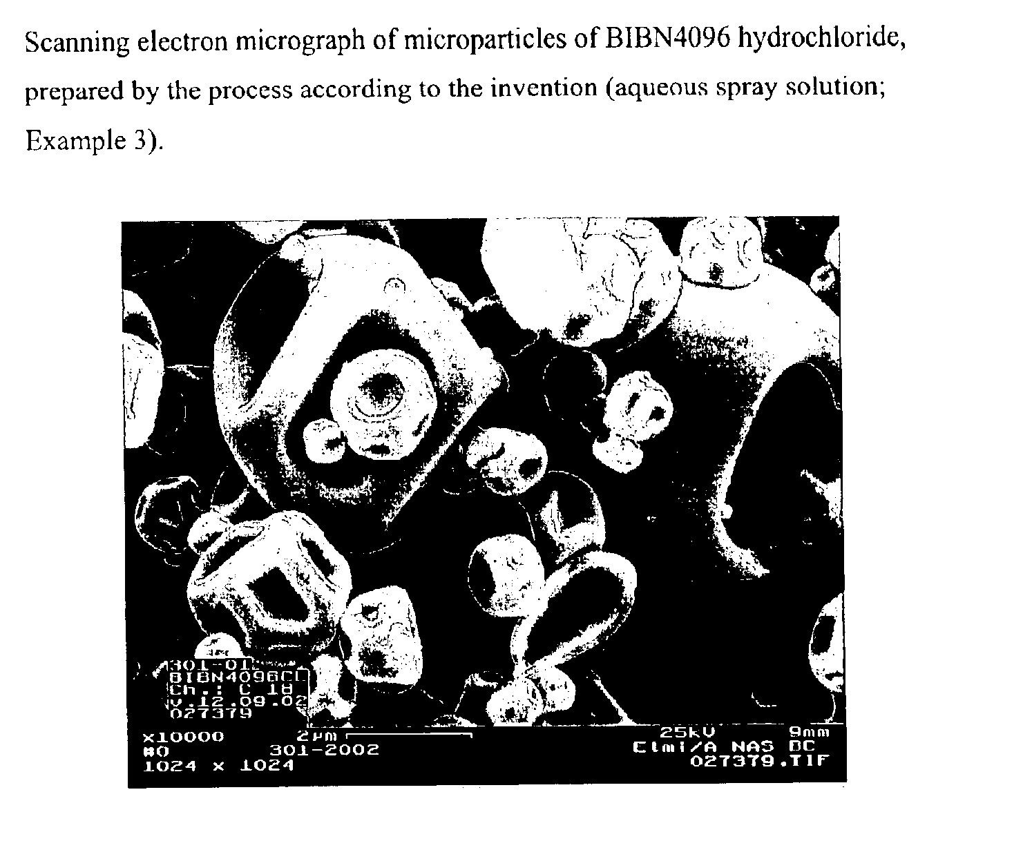 Salts of the CGRP antagonist BIBN4096 and inhalable powdered medicaments containing them