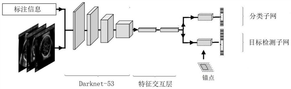 A method for quality control of ultrasound section images of fetuses in the second and third trimesters