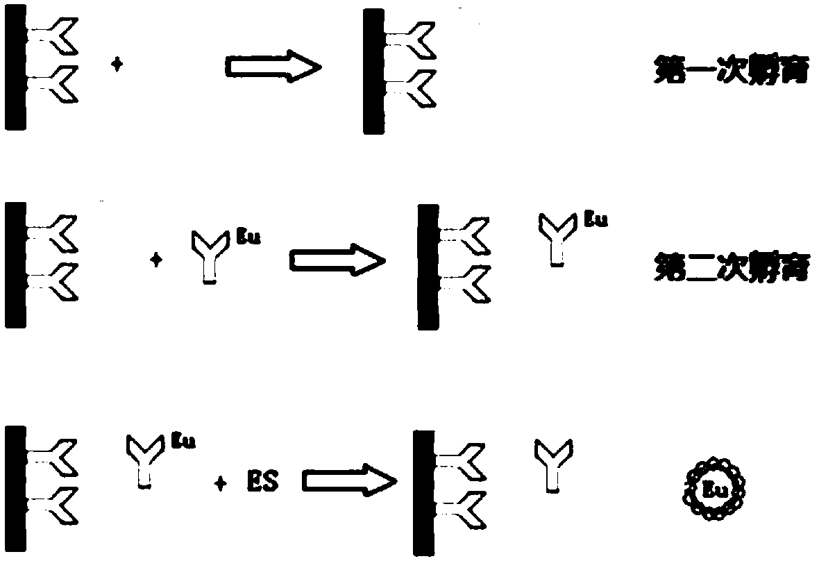 CA50 detecting diagnostic kit and preparation method thereof