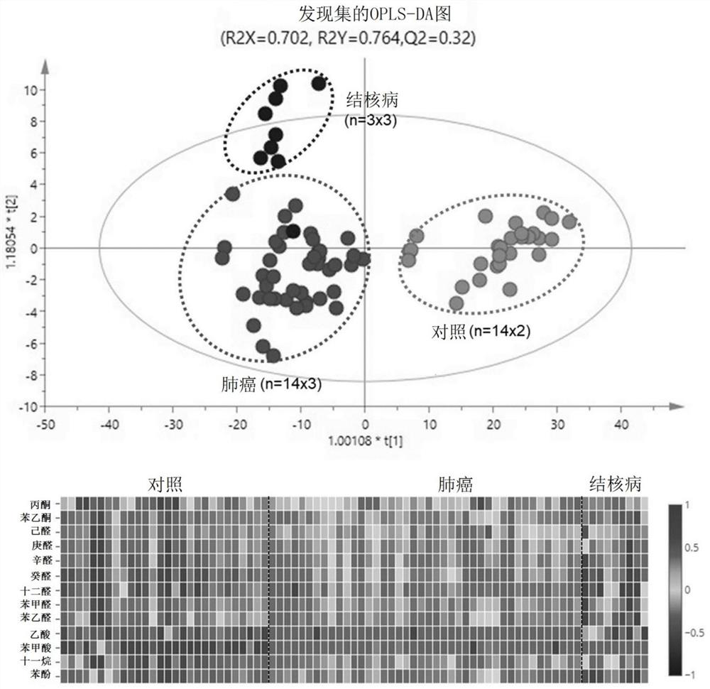 Method of detecting cancer and/or tuberculosis