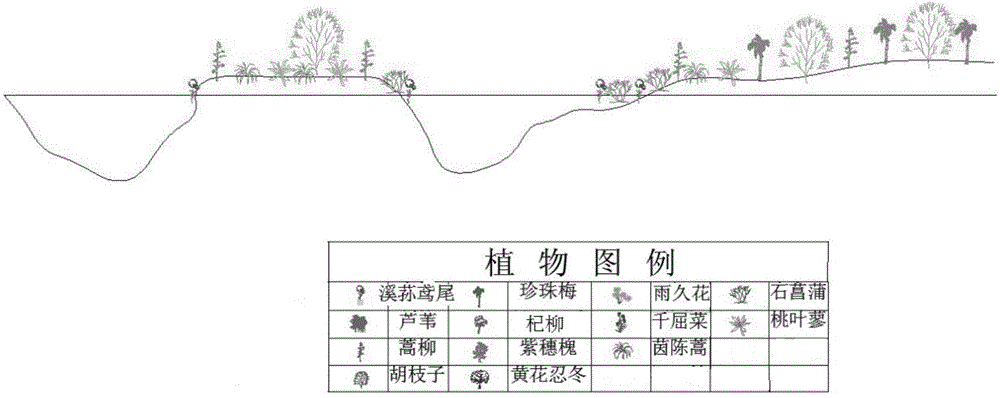 Construction method suitable for ecologically restoring vegetation of riparian zone of sand excavation riverway in north