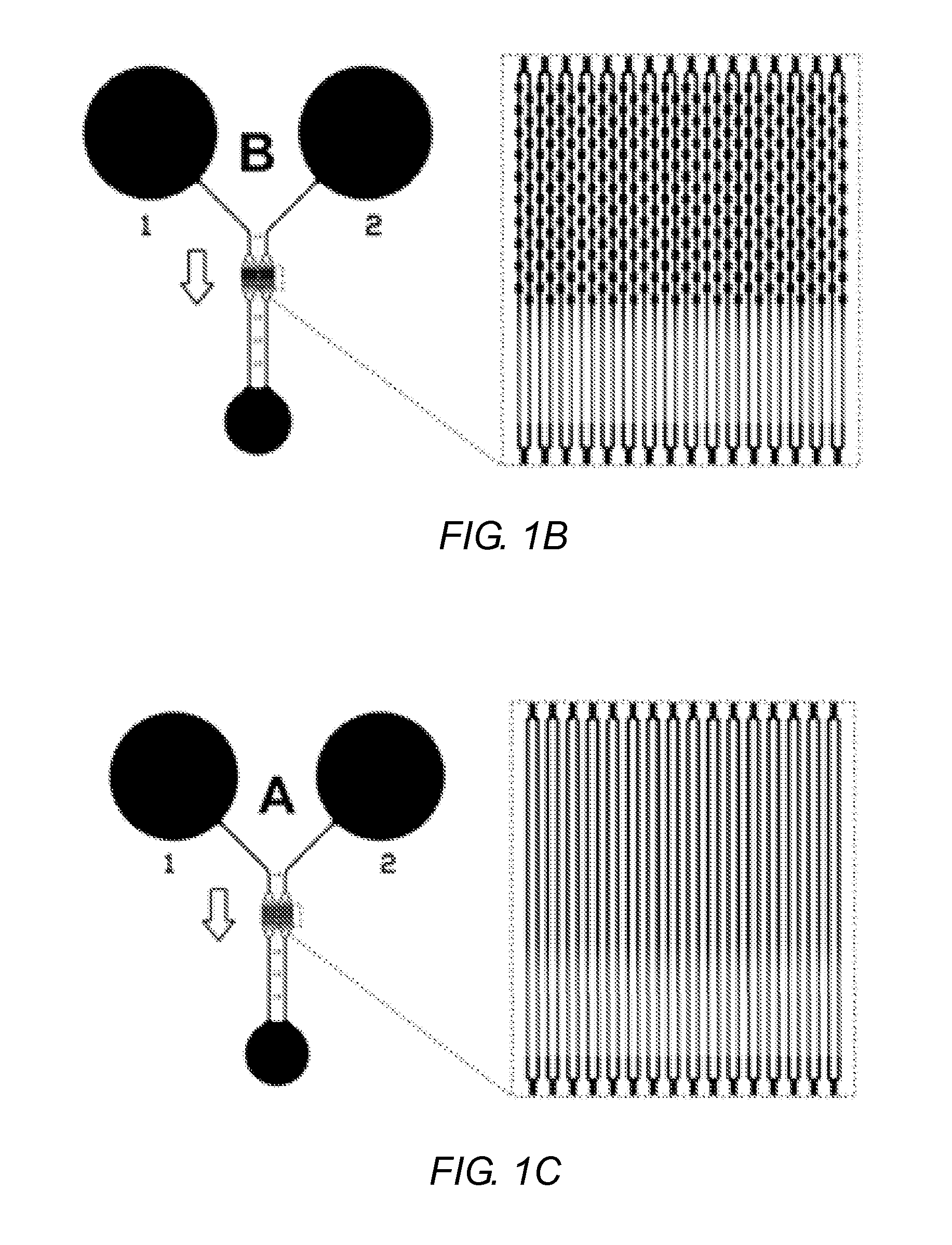 Capillary network devices and methods of use