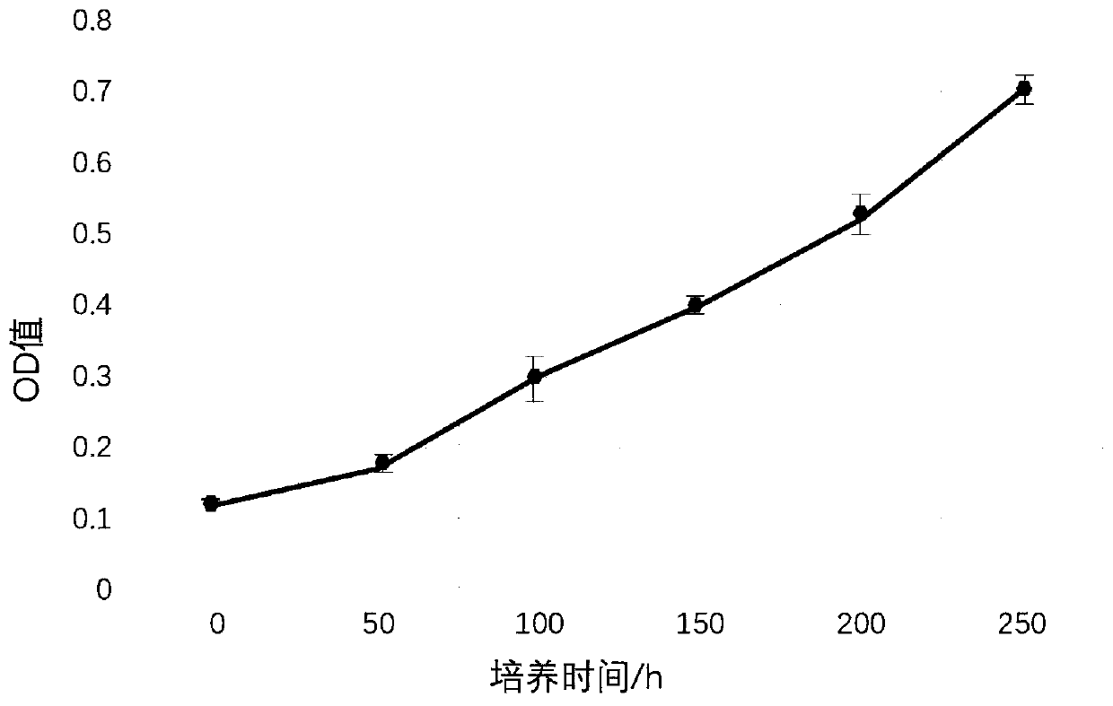 Adipose-derived stem cell rapid culture and differentiation method