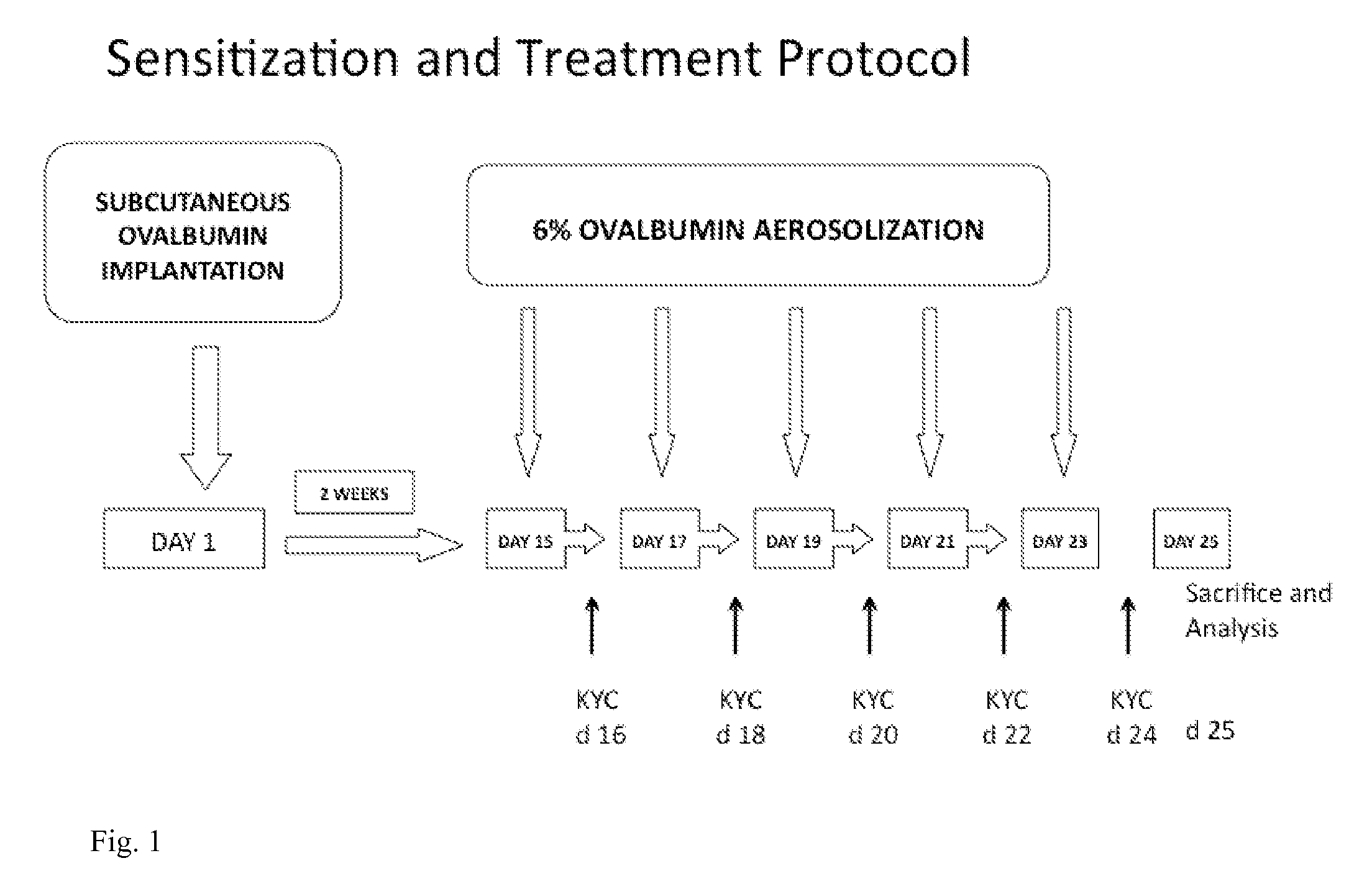 Peptide based peroxidase inhibitors and methods of using same