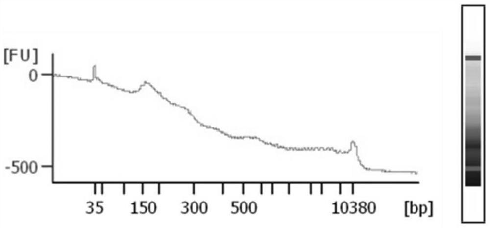 A method for extracting cfDNA from follicular fluid