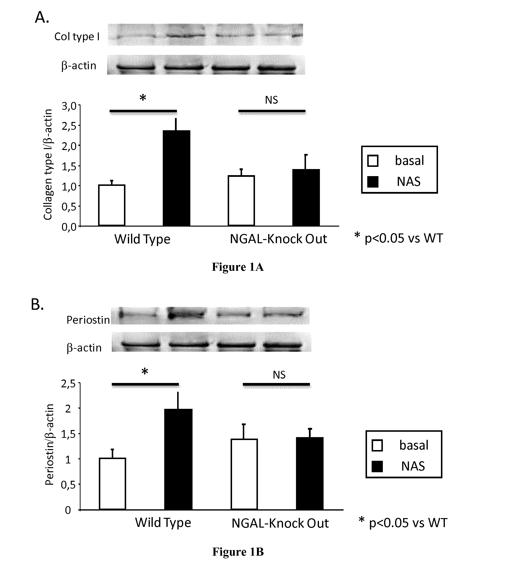 Methods and Pharmaceutical Compositions for the Treatment of Cardiovascular Fibrosis