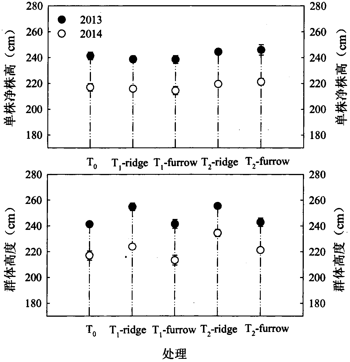 Furrow three-dimensional planting technique for improving light energy utilization efficiency of summer corn