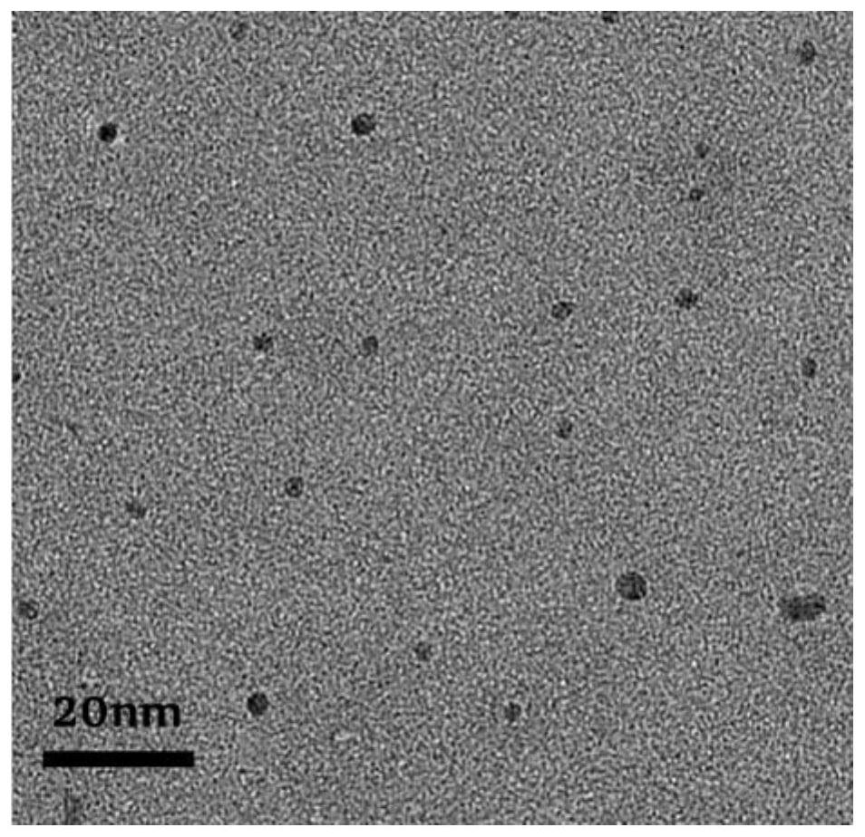 A high-concentration pyridine nitrogen atom-doped carbon quantum dot and its preparation method