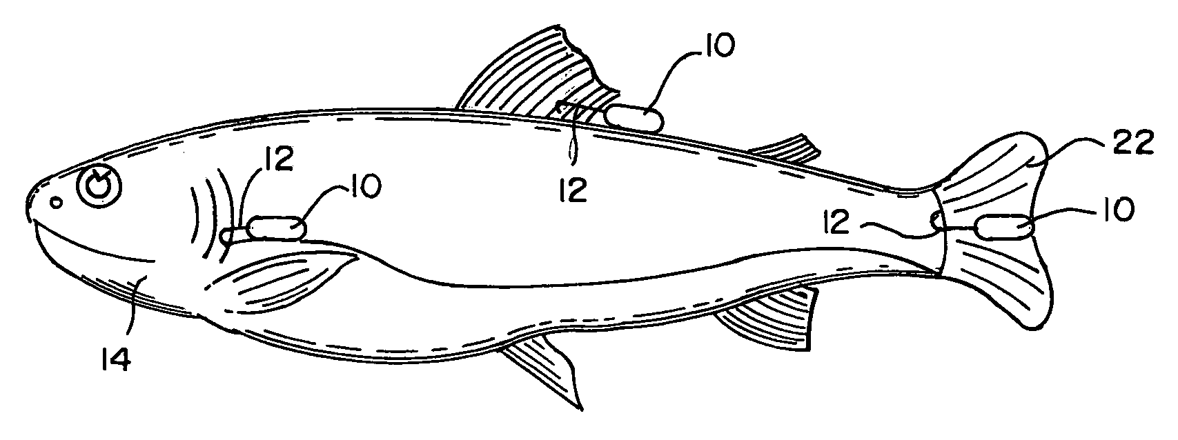 System for reducing the number of predator fish