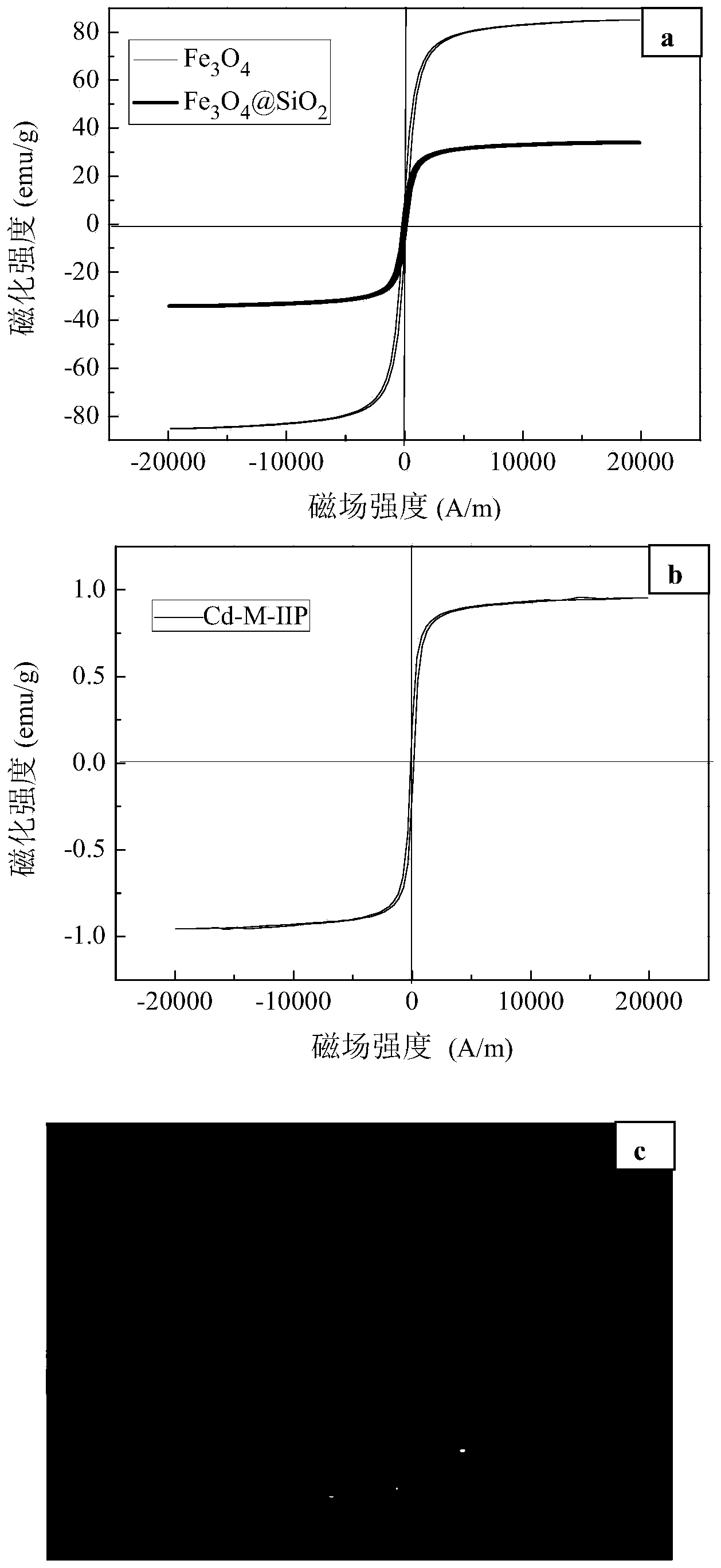 Preparation method of magnetic cadmium ion surface imprinted polymer