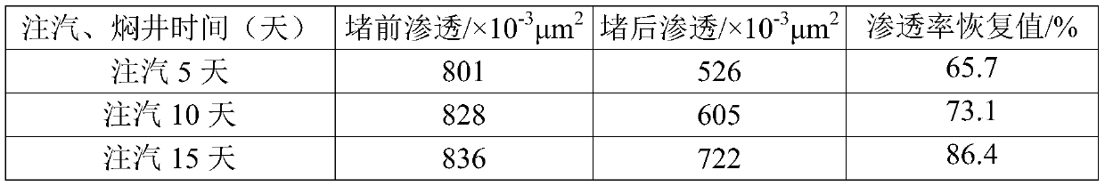 A kind of degradable shielding protective agent and its preparation method and application