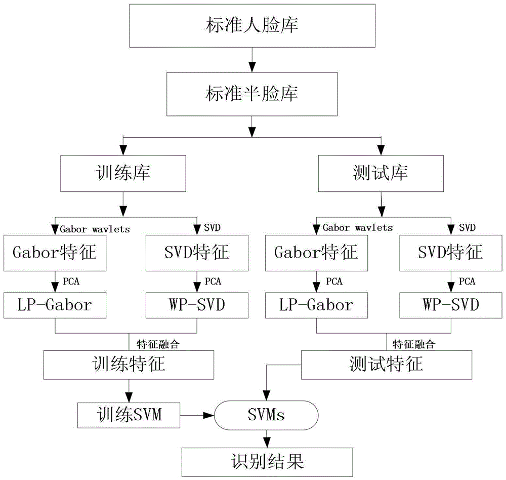 A face recognition method based on half-face multi-feature fusion