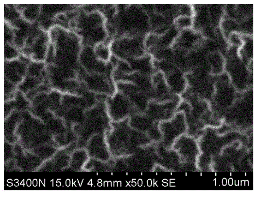 Carbon nanowall and graphene nanoribbon preparation method