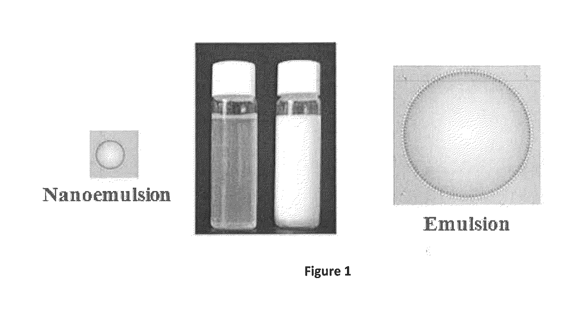 Methods for producing optimal stable nanoemulsions and formulations obtained therefrom