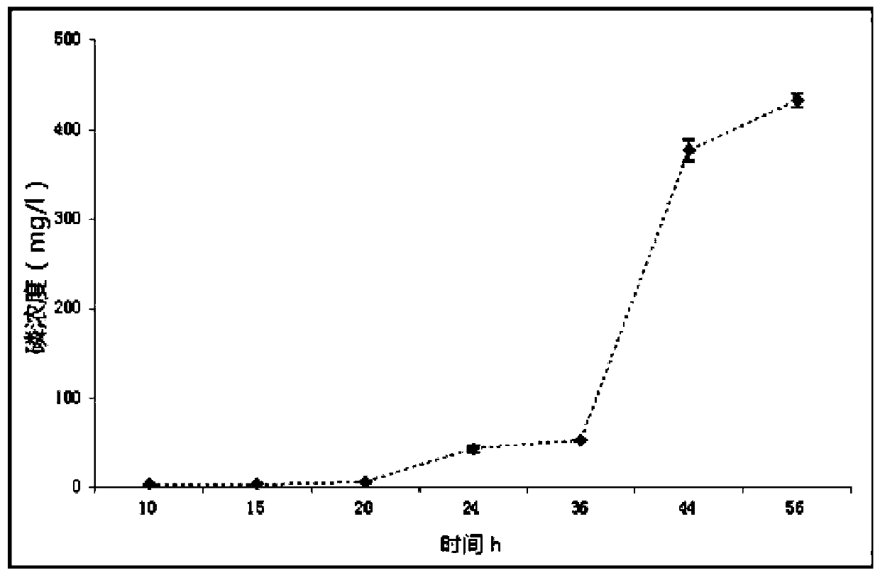 A kind of pseudobacillus pallidum strain x21 and its application