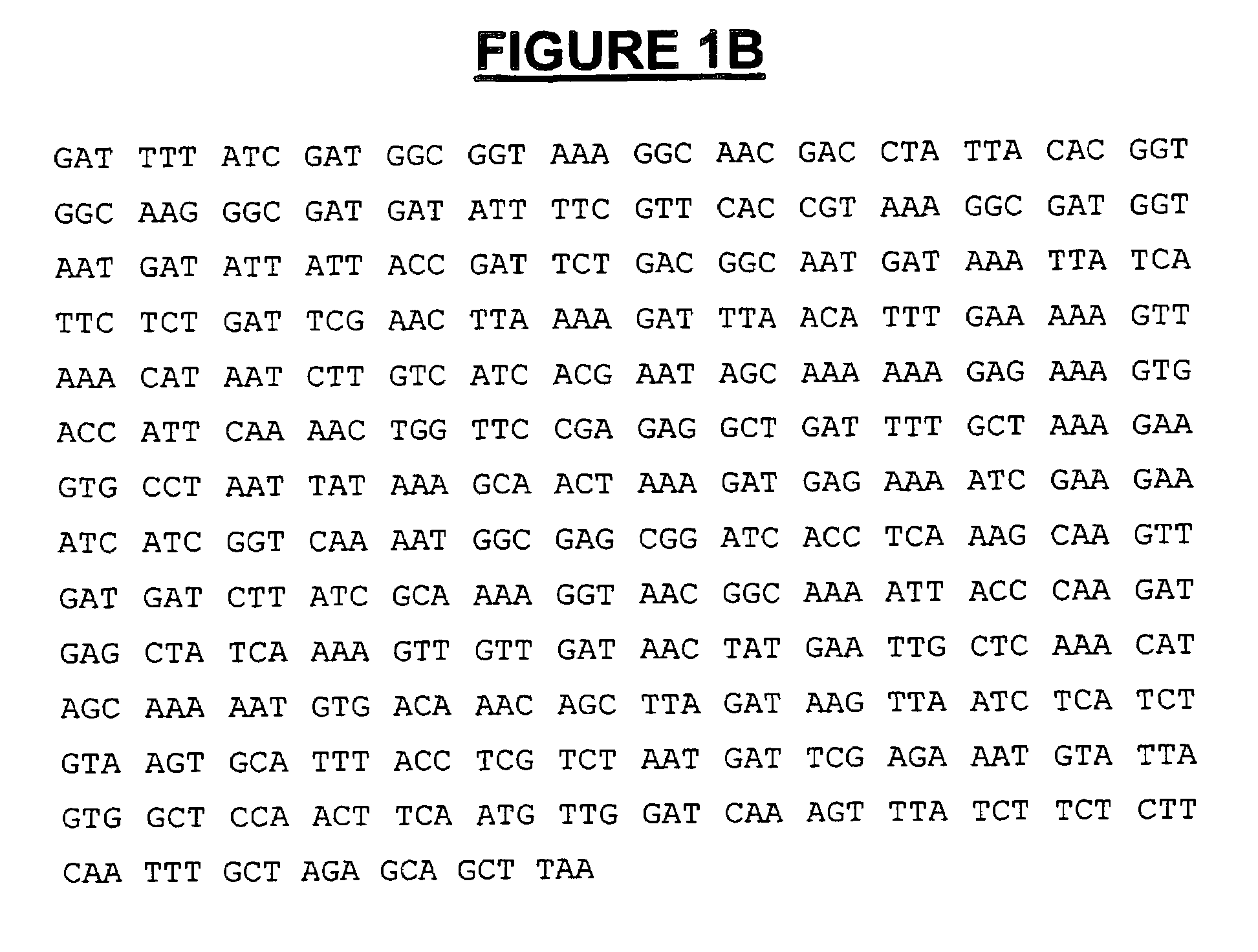 Modified leukotoxin gene and protein